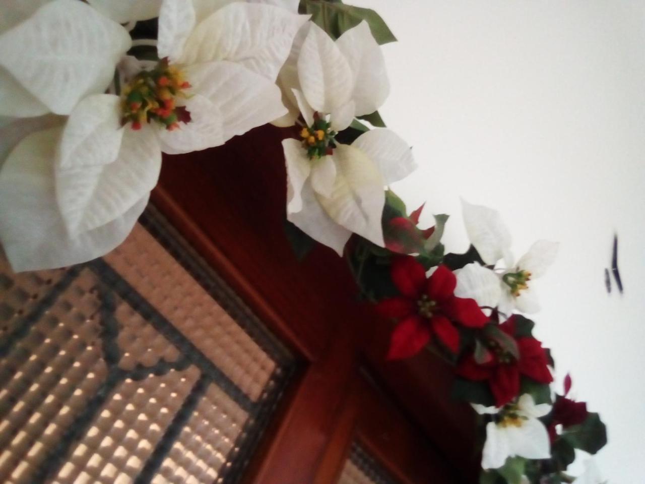 Officina Urban Sleep Bed & Breakfast San Benedetto del Tronto Exterior foto