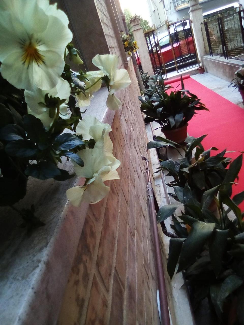 Officina Urban Sleep Bed & Breakfast San Benedetto del Tronto Exterior foto